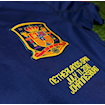 Picture of Spain 10/11 Away Iniesta