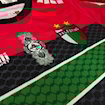 صورة Palestino 2023 Goalkeeper
