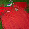 Picture of Wales 94/96 Home Rush