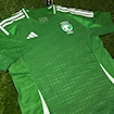 Picture of Saudi Arabia 24/25 Home Player Version Green 