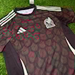 صورة Mexico 2024 Home