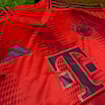 Picture of Bayern Munich 24/25 Home 