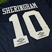 Picture of Tottenham 94/95 Away Sheringham
