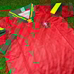Picture of Portugal 92/94 Home