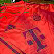 Picture of Bayern Munich 24/25 Home Long - Sleeve