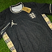 Picture of England 2024 Special Edition Player Version Grey