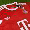 Picture of Bayern Munich 2024 Special Casual Edition Red
