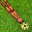 Picture of Champions League Final Madrid 2010 Medal