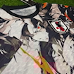 Picture of Japan 2025 Special Player Version