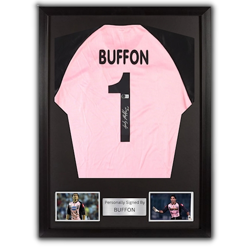 Picture of Buffon signed & framed