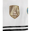 Picture of Inter Milan 10/11 Away Sneijder