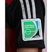 Picture of Germany 2014 Away Ozil