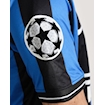 Picture of Inter Milan 09/10 Home Final