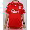 Picture of Liverpool 06/07 Home Torres