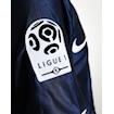 Picture of PSG 2001 Home Ronaldinho
