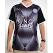 Picture of Leicester City 15/16 Away