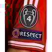 Picture of Bayern Munich 12/13 Home Robben Final