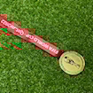 Picture of World Cup 2022 Medal