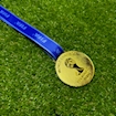Picture of World Cup 2014 Medal - Brazil