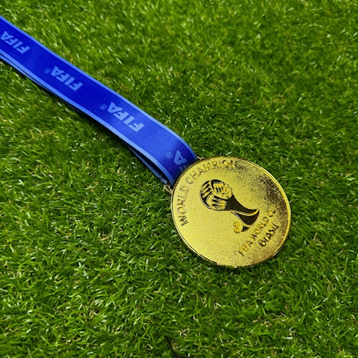 Picture of World Cup 2014 Medal - Brazil