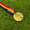 Picture of World Cup 2002 Medal -Korea/Japan