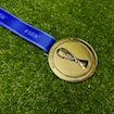 Picture of World Cup 2018 Medal - Russia