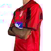Picture of Atletico Madrid 01/02 Away F. Torres