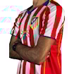 Picture of Atletico Madrid 04/05 Home