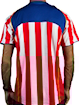 Picture of Atletico Madrid 04/05 Home