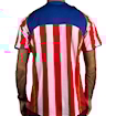 Picture of Atletico Madrid 04/05 Home