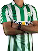Picture of Real Betis 88/89 Home