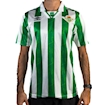 Picture of Real Betis 94/95 Home