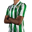 Picture of Real Betis 94/95 Home