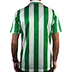 Picture of Real Betis 94/95 Home