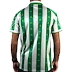 Picture of Real Betis 96/97 Home