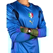 Picture of Italy 2006 Home