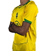 Picture of Brazil 2004 Home Ronaldinho