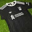 Picture of Liverpool 25/26 Goalkeeper Player Version Black/Grey