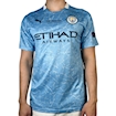Picture of Manchester City 20/21 Home Final