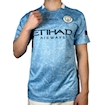 Picture of Manchester City 20/21 Home Final