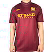 Picture of Manchester City 12/13 Away