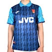 Picture of Arsenal 94/95 Away Bergkamp