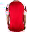 Picture of Arsenal 92/93 Home