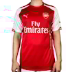 Picture of Arsenal 14/15 Home 