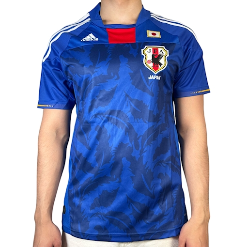 Picture of Japan 2010 Home 