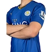 Picture of Leicester City 15/16 Home Mahrez