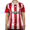 Picture of Southampton 15/16 Home Virgil
