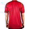 Picture of Portugal 2004 Home