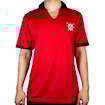 Picture of Portugal 1972 Home 