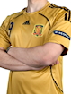 Picture of Spain 2008 Away Torres